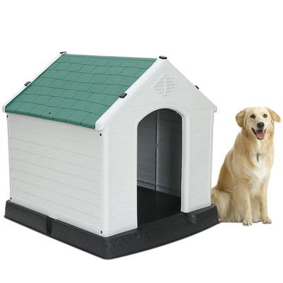 Plastic Dog House - Zeny