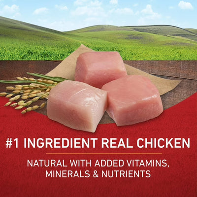 Purina ONE High Protein Dog Food