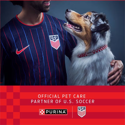 Purina ONE High Protein Dog Food
