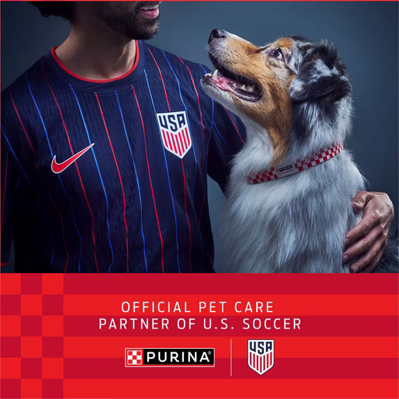 Purina ONE High Protein Dog Food